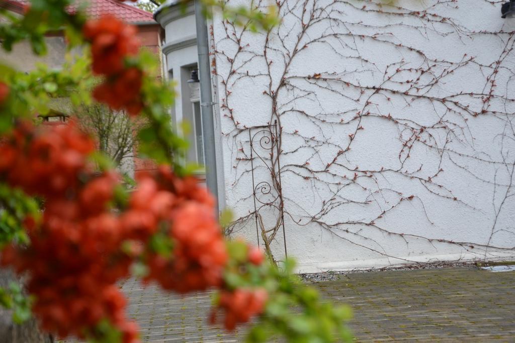 Villarada Łagów Esterno foto