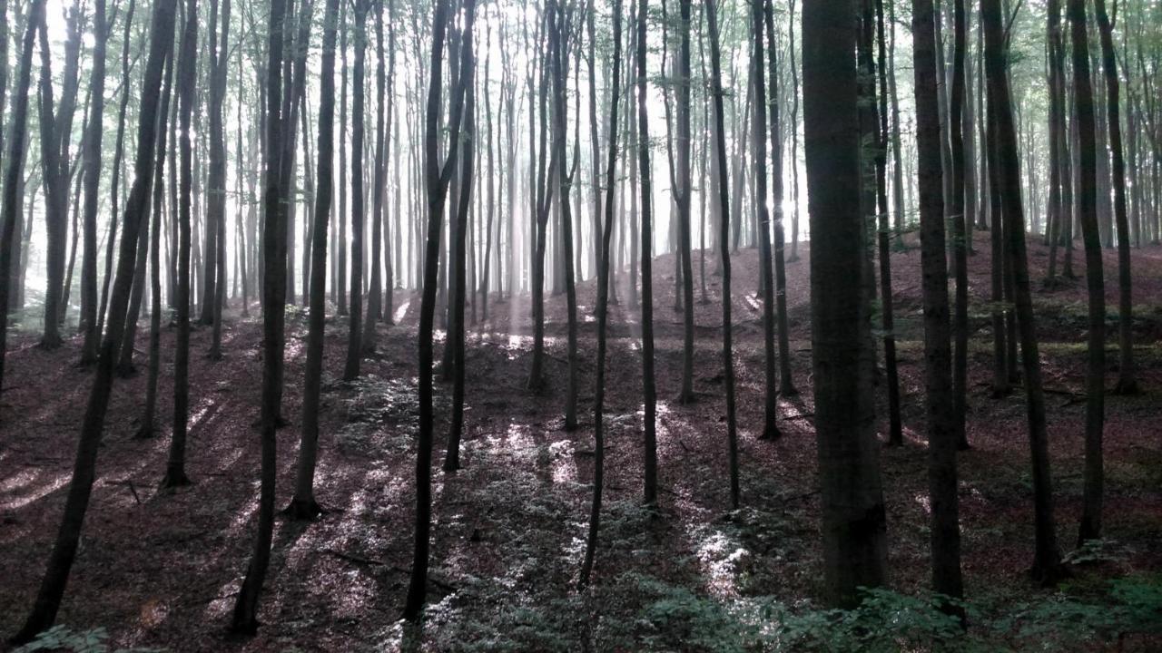 Villarada Łagów Esterno foto